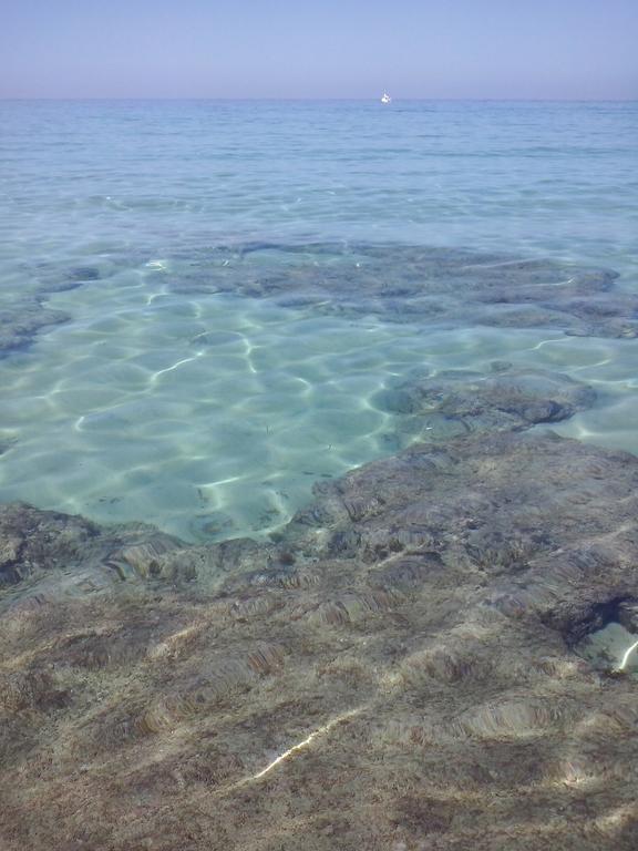 Casalmare Mola di Bari Bagian luar foto