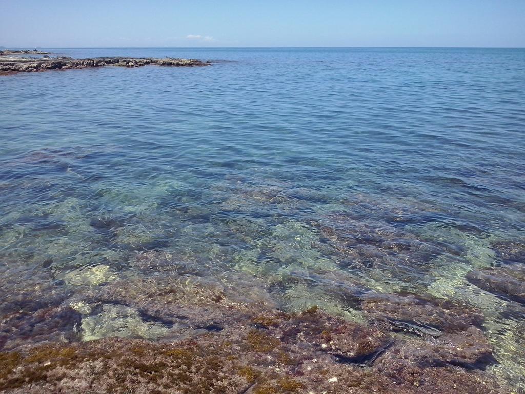 Casalmare Mola di Bari Bagian luar foto